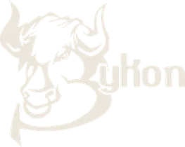Bykon